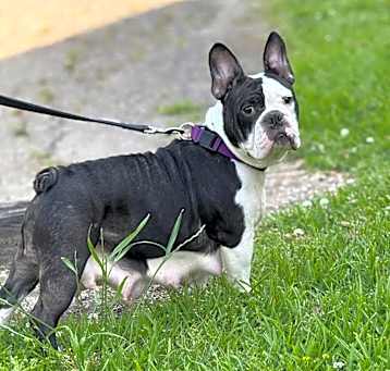 Photo of Roxy