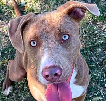 Photo of TAFFY