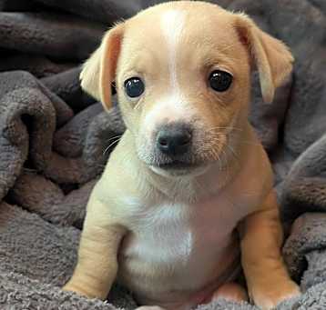 Photo of Titan