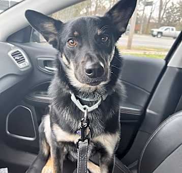 Photo of Maggie