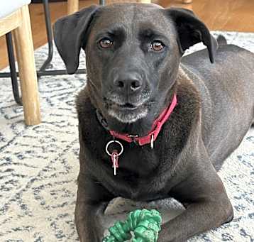 Photo of Millie