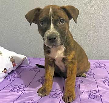 Photo of Clementine