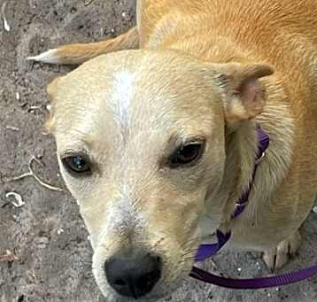 Photo of Sandy