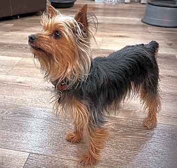 Photo of Macie