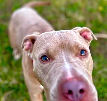 Photo of Diamond