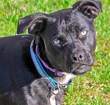 Photo of Emily Rose