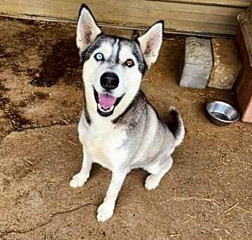 Photo of Timber