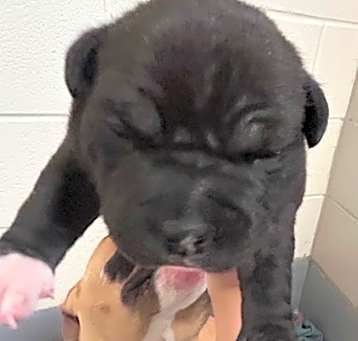 Photo of Mellow