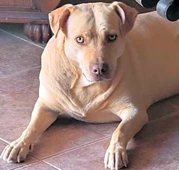 Photo of Arwen