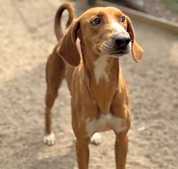 Photo of Rita - 25096