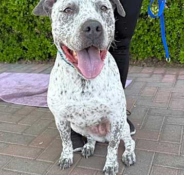 Photo of MABEL
