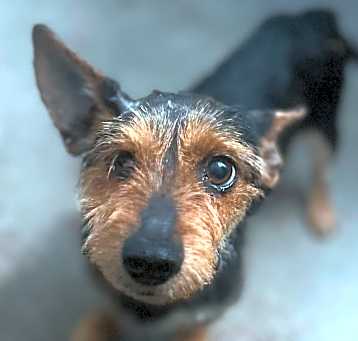 Photo of Bentley