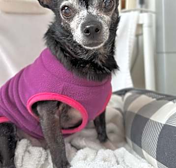 Photo of Chloe