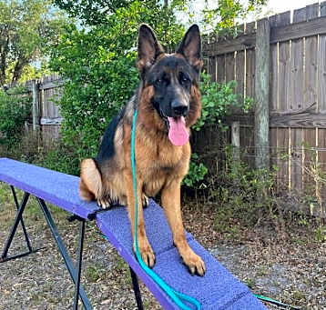 Photo of Major