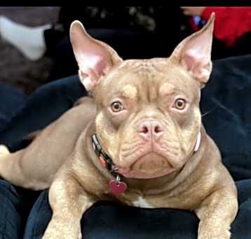 Photo of Pinky