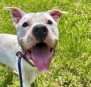 Photo of ZEUS