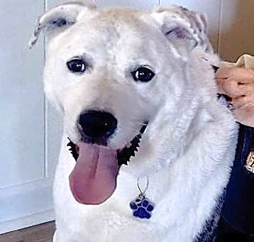 Photo of Buster
