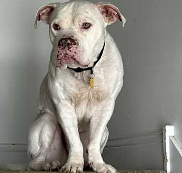 Photo of Drake