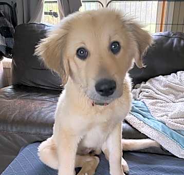 Photo of Windy