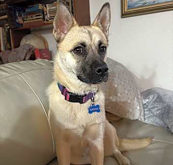 Photo of Sasha