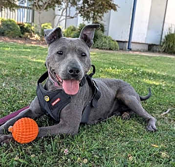 Photo of Sammie