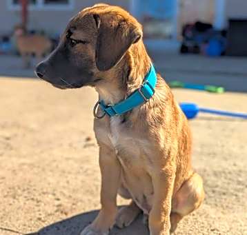 Photo of Will - Wonderful Boy!