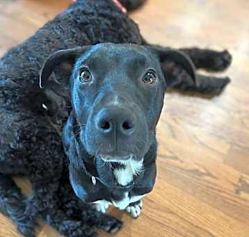 Photo of Kohl
