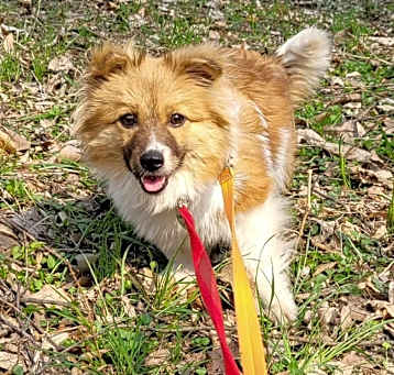 Photo of Berry