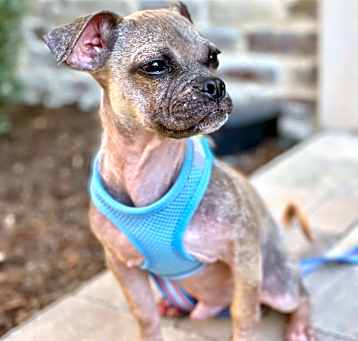 Photo of Hercules