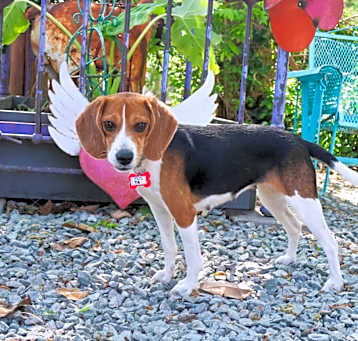 Photo of Tia