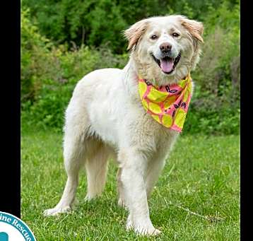 Photo of Paisley (mom to Paisley's Poppets) 041925