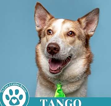 Photo of Tango 041925