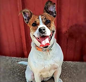 Photo of SASSY