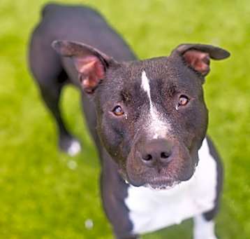 Photo of Bingo