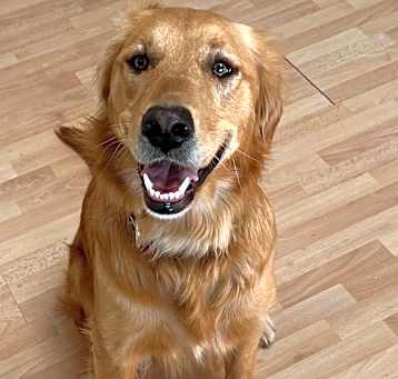 Photo of Malbec