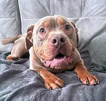 Photo of Guinness