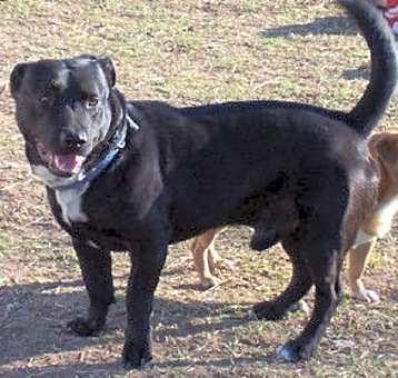 Photo of Dude