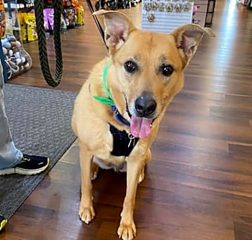 Photo of Maggie