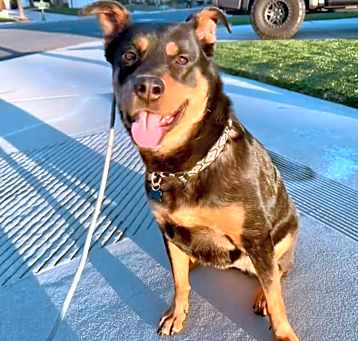 Photo of Chloe