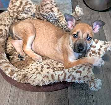 Photo of Roxy