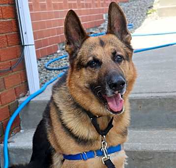 Photo of Hercules