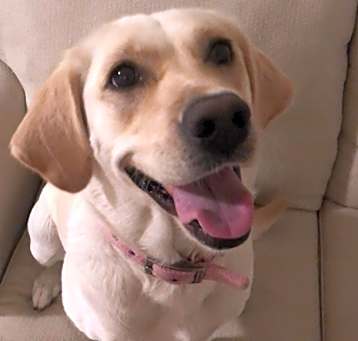 Photo of Nala