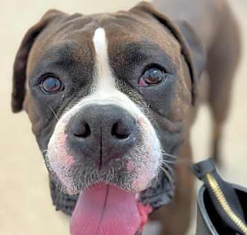 Photo of Jäger