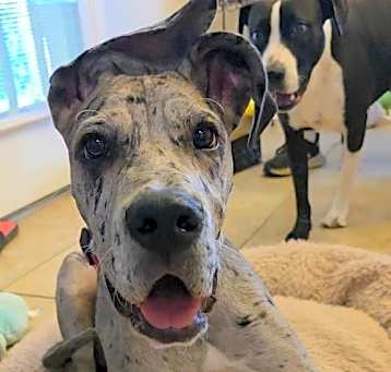 Photo of Dottie