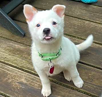Photo of ELLIE