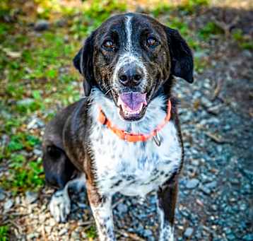 Photo of DOTTIE MINERVA