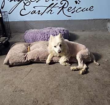 Photo of Baby girl