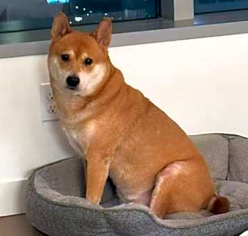 Photo of Yuta