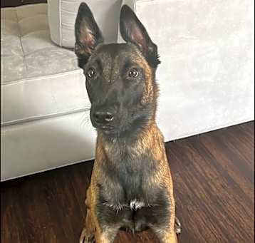 Photo of Athena