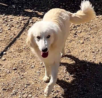 Photo of Charlie